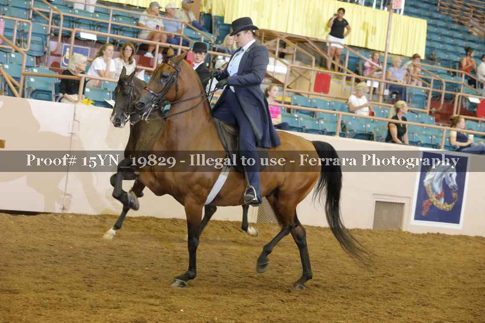 Proof 15YN_19829