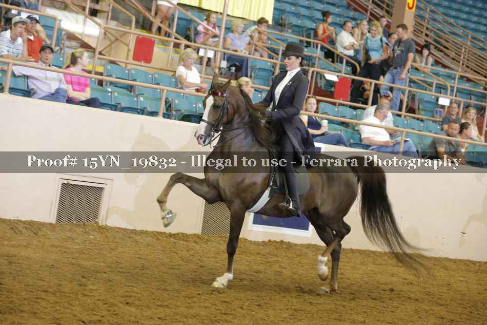 Proof 15YN_19832