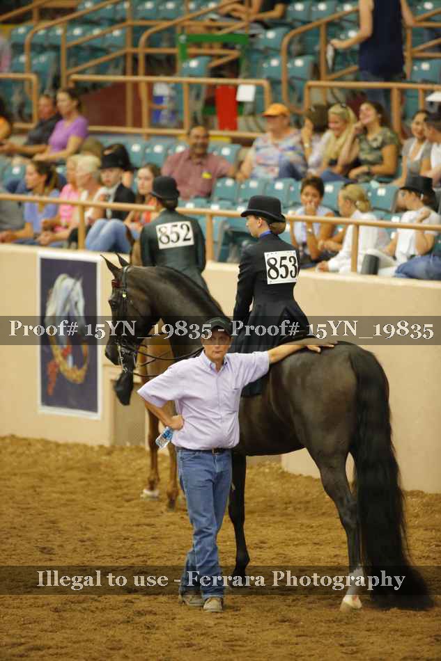 Proof 15YN_19835