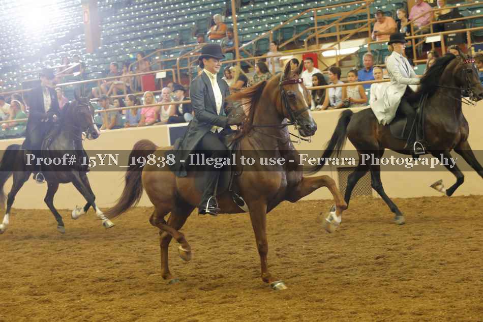 Proof 15YN_19838