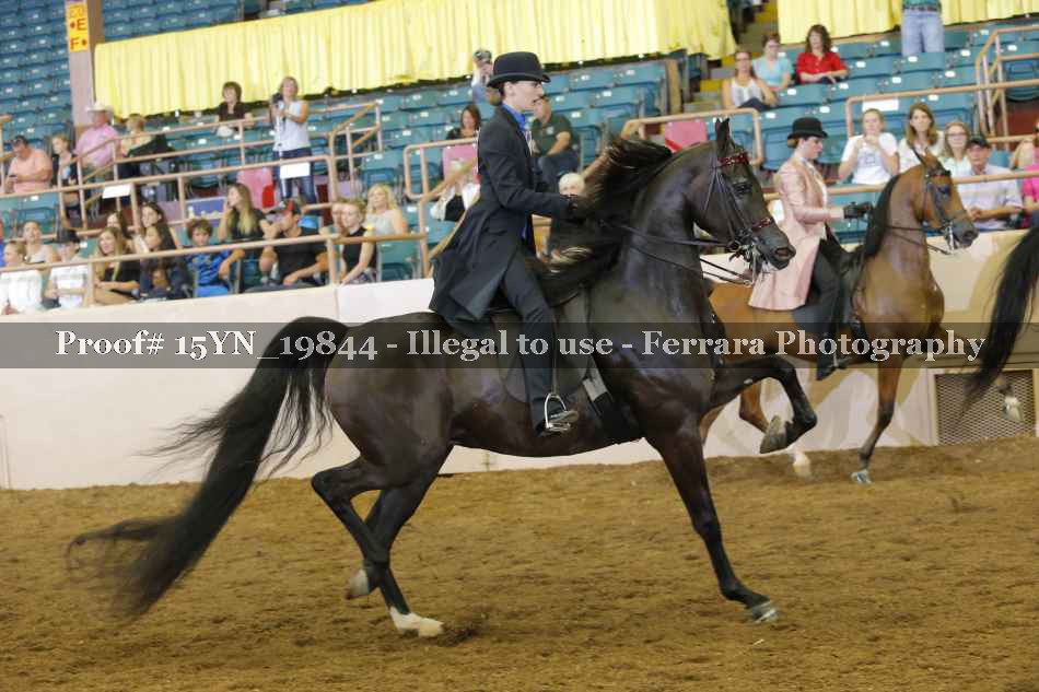 Proof 15YN_19844