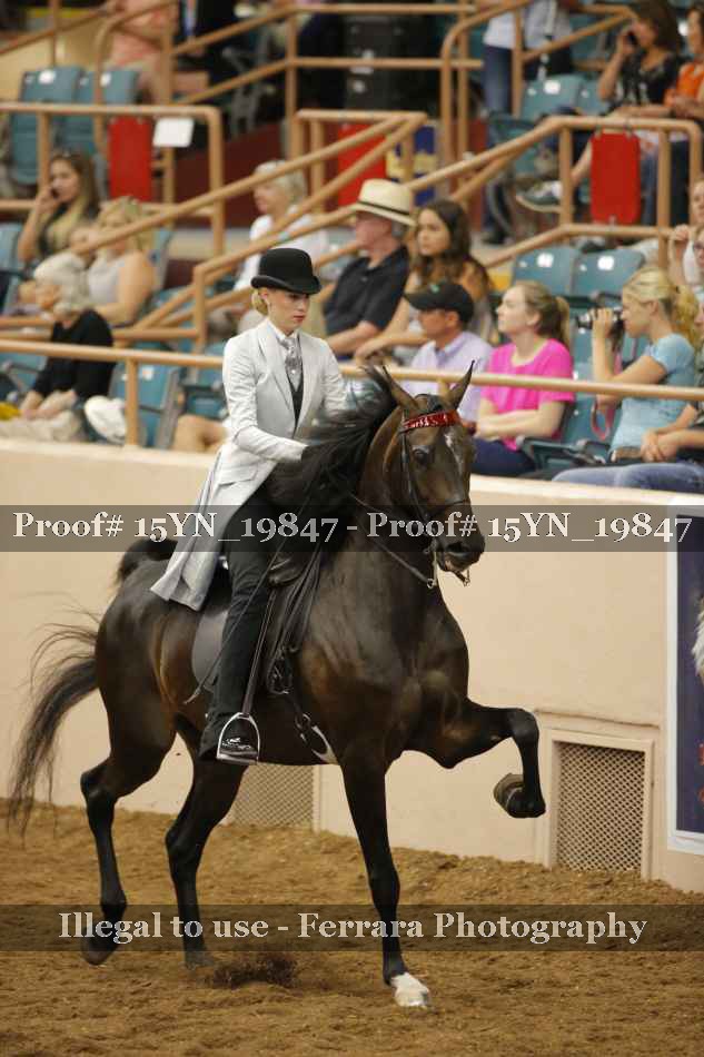 Proof 15YN_19847