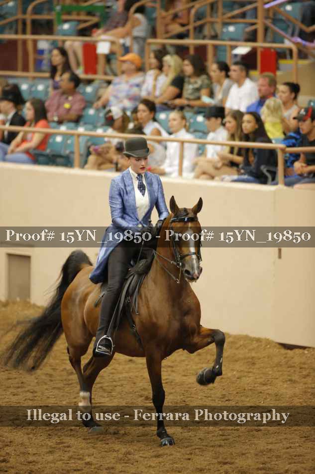 Proof 15YN_19850