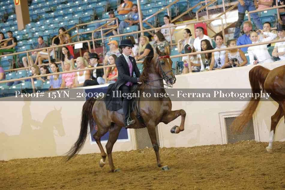 Proof 15YN_20039