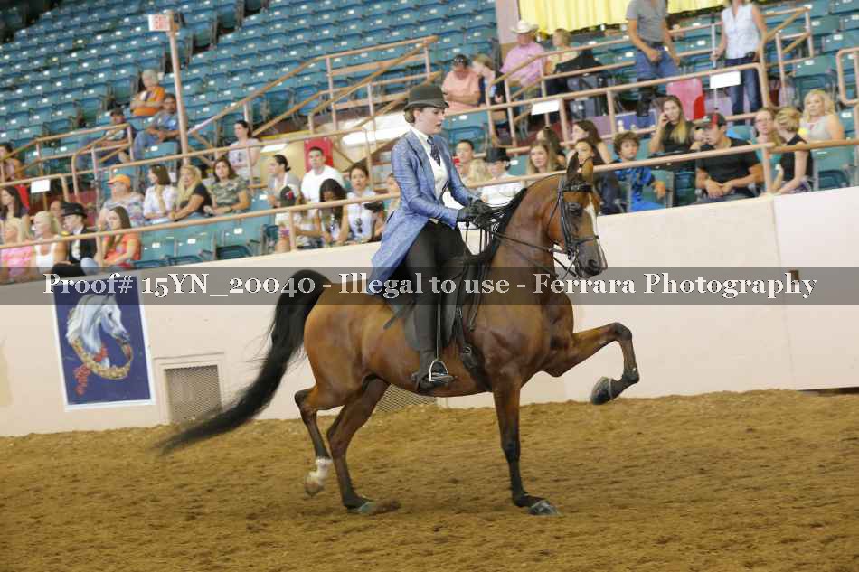 Proof 15YN_20040