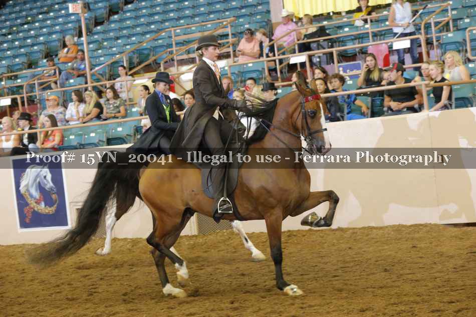 Proof 15YN_20041