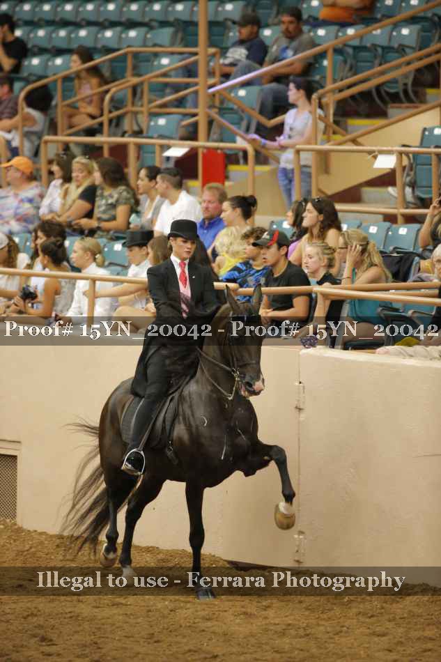 Proof 15YN_20042