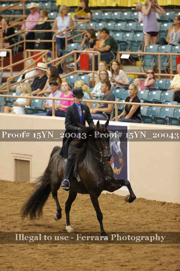 Proof 15YN_20043