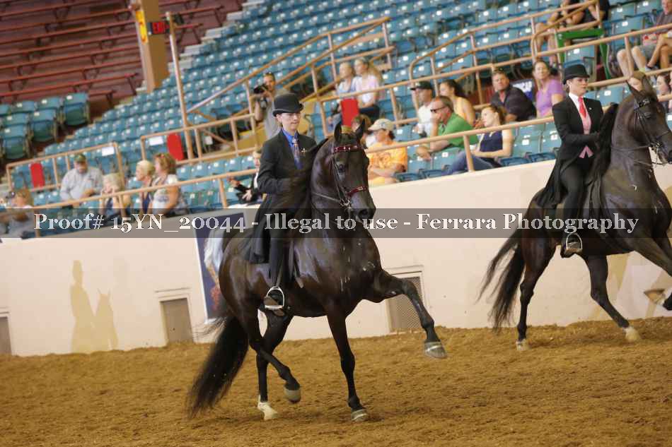 Proof 15YN_20044