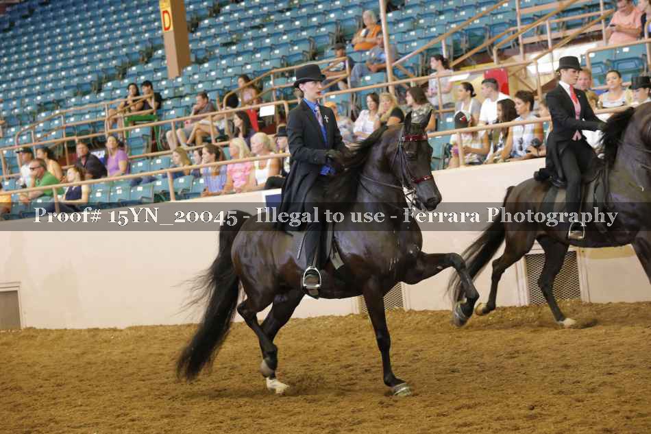 Proof 15YN_20045