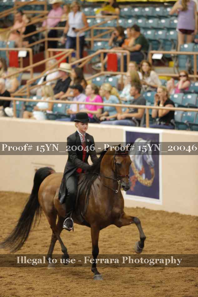 Proof 15YN_20046