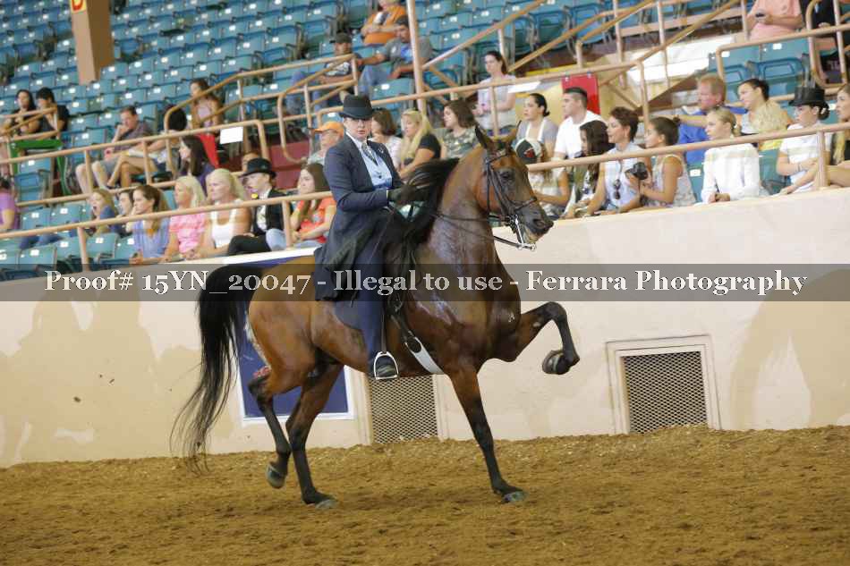 Proof 15YN_20047