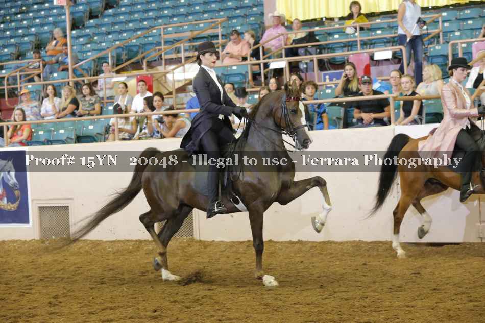 Proof 15YN_20048