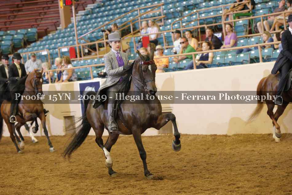 Proof 15YN_20049