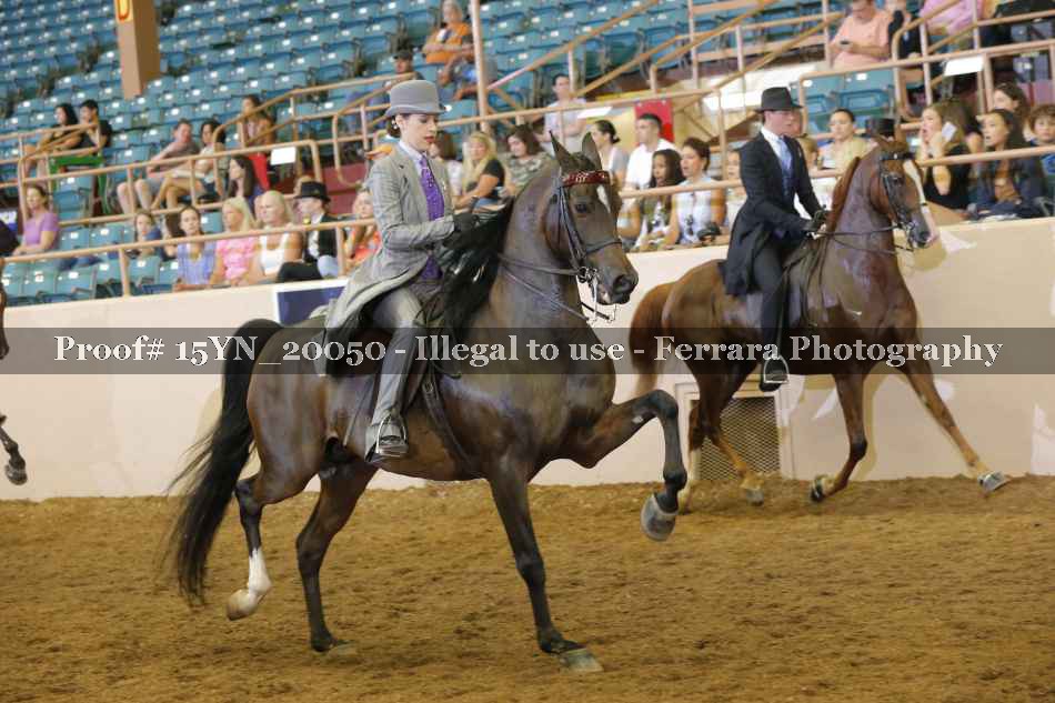 Proof 15YN_20050