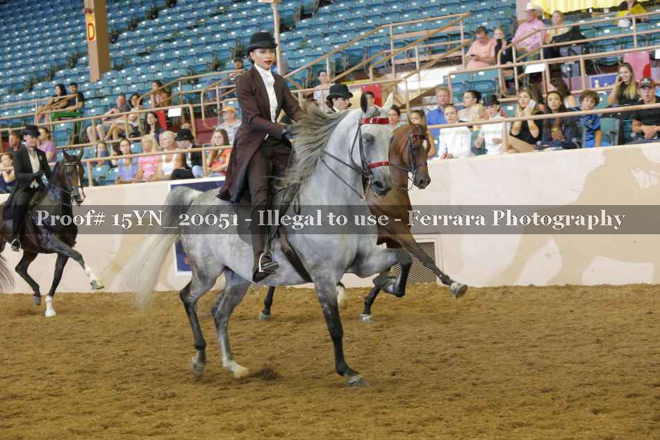 Proof 15YN_20051