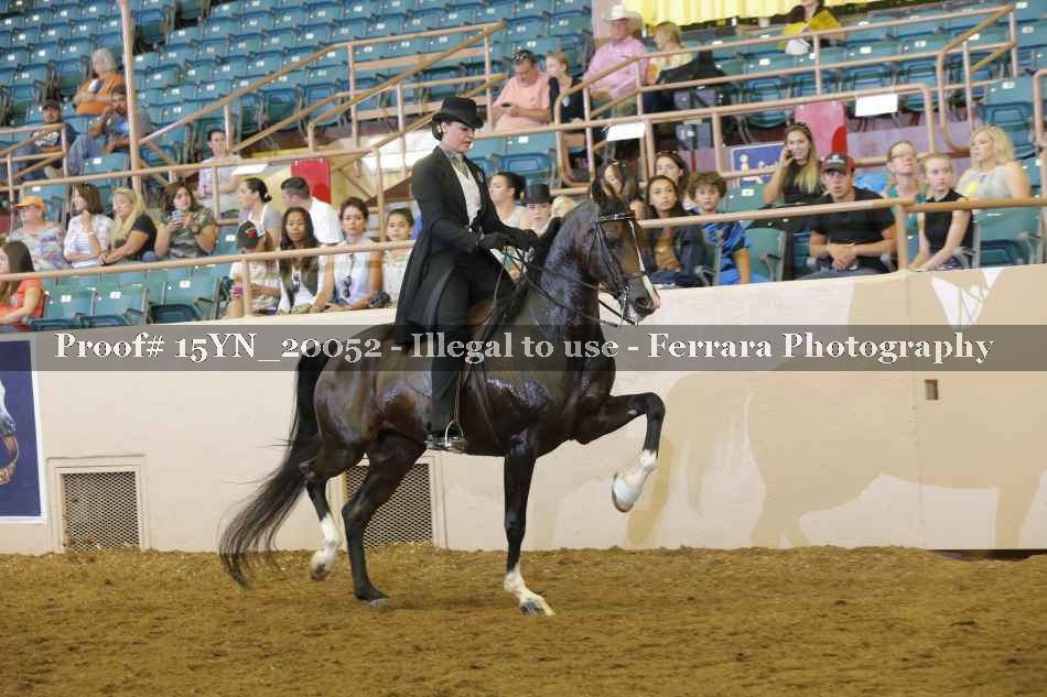 Proof 15YN_20052