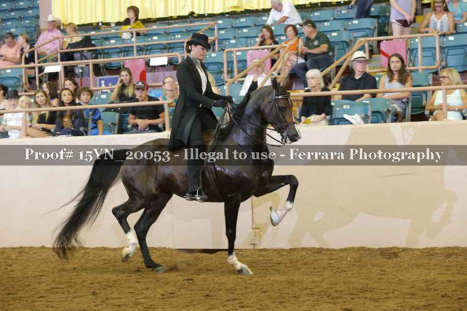 Proof 15YN_20053