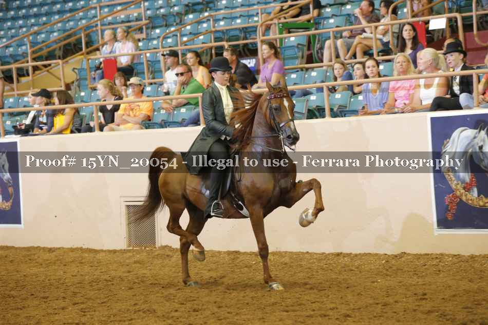 Proof 15YN_20054