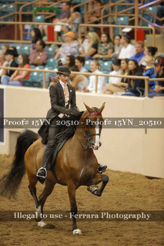 Proof 15YN_20510