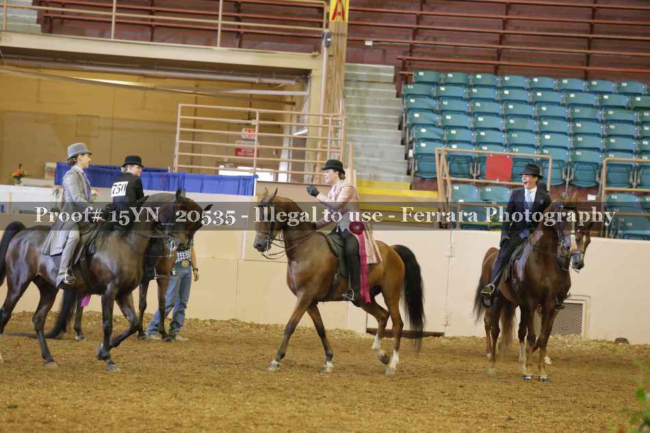 Proof 15YN_20535
