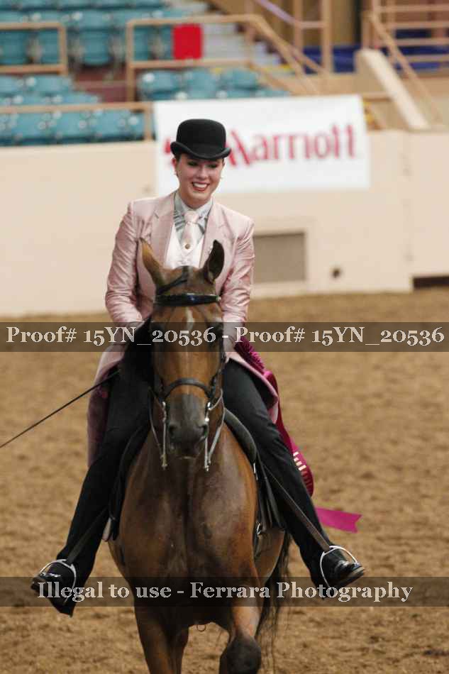 Proof 15YN_20536