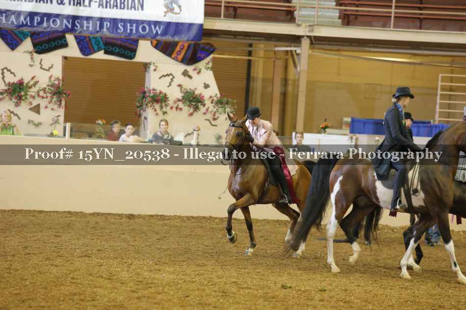 Proof 15YN_20538