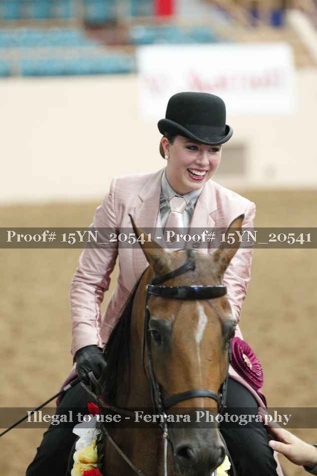 Proof 15YN_20541
