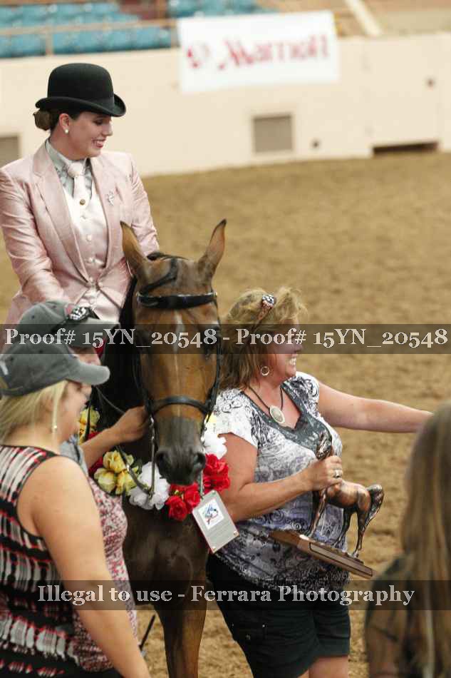 Proof 15YN_20548