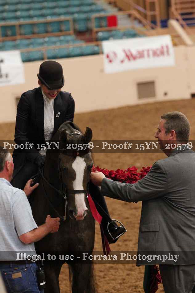 Proof 15YN_20578