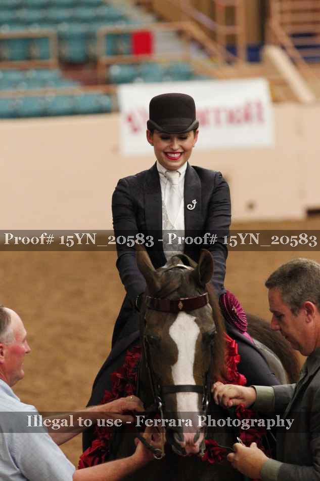 Proof 15YN_20583