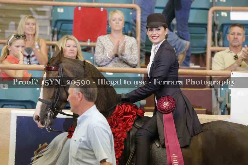 Proof 15YN_20590