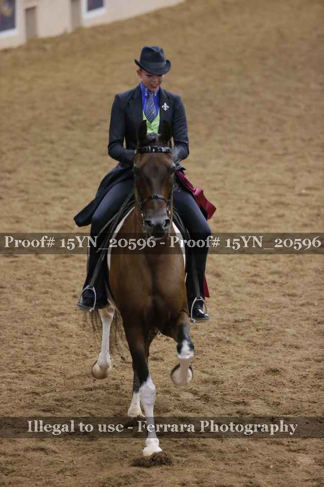 Proof 15YN_20596