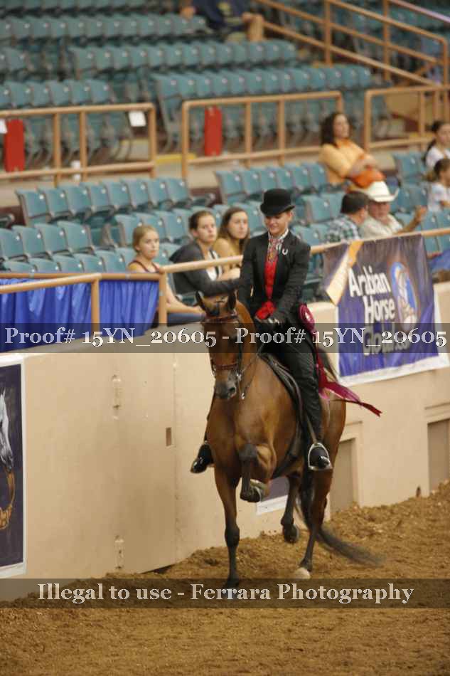 Proof 15YN_20605
