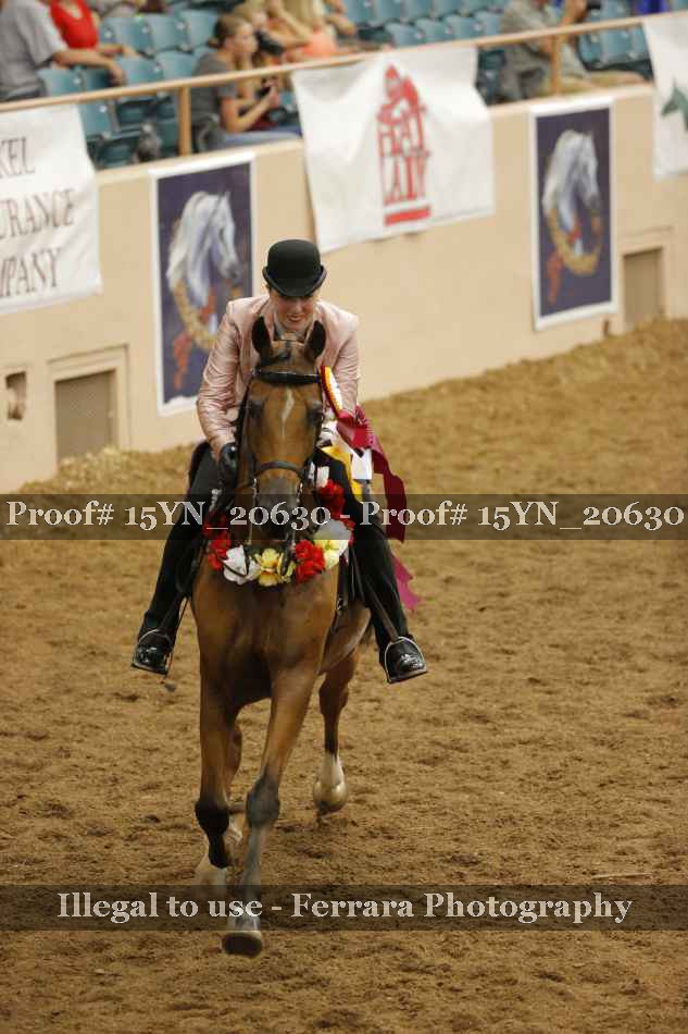 Proof 15YN_20630