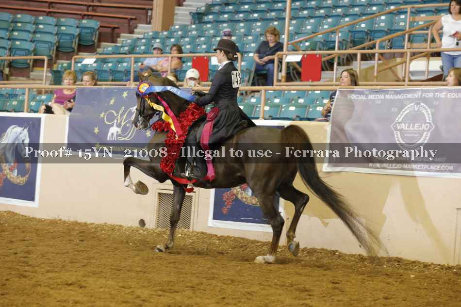 Proof 15YN_21008