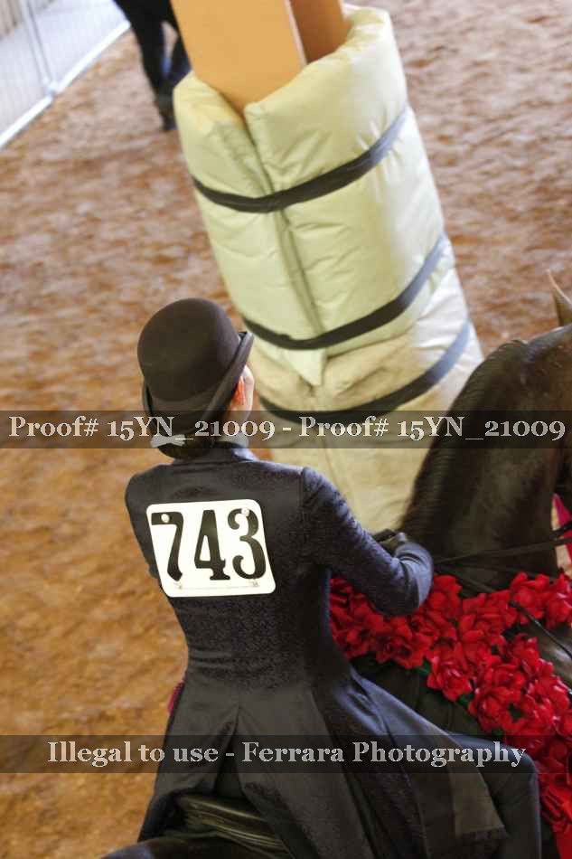 Proof 15YN_21009