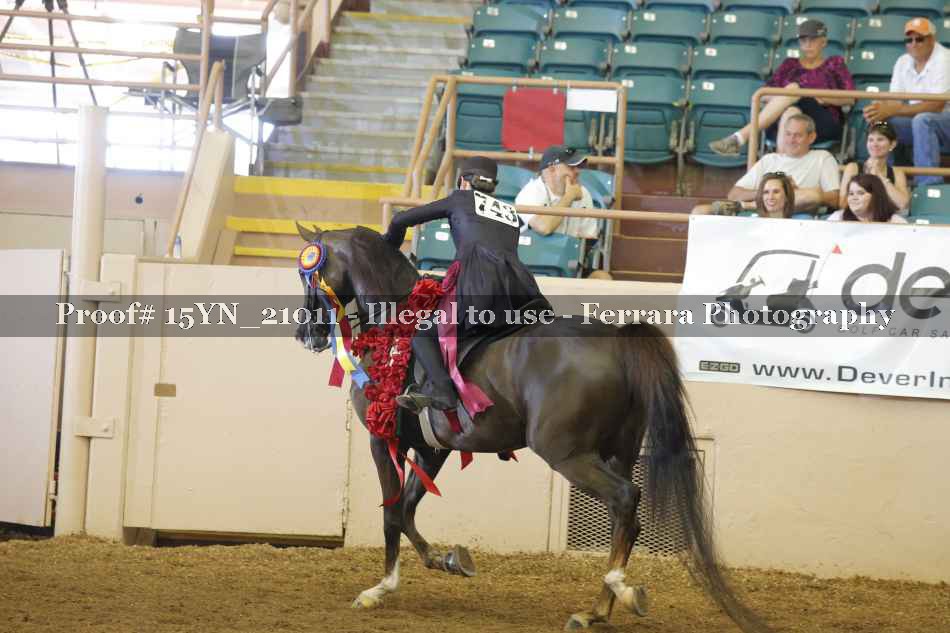 Proof 15YN_21011