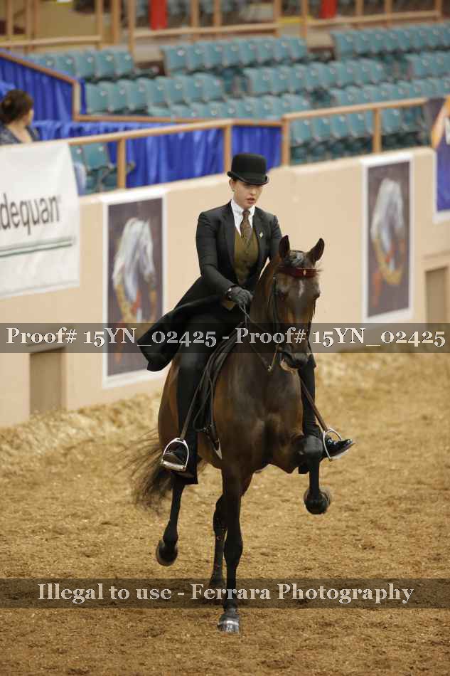 Proof 15YN_02425