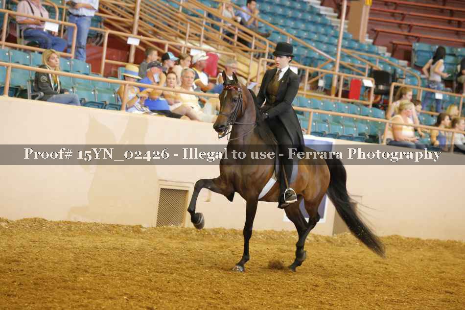 Proof 15YN_02426