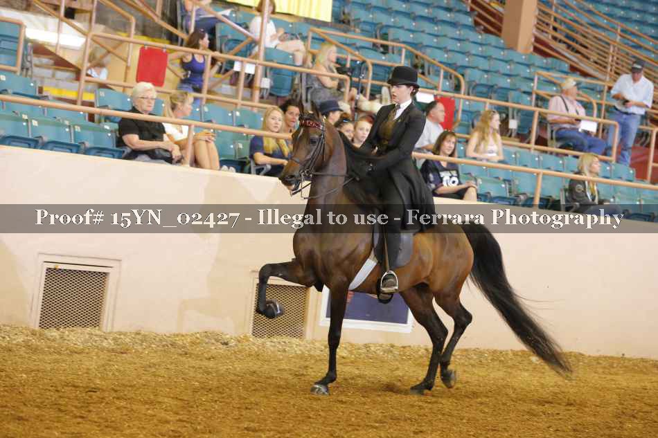 Proof 15YN_02427