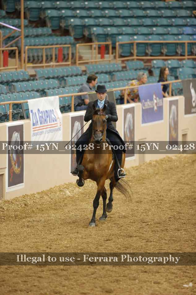 Proof 15YN_02428