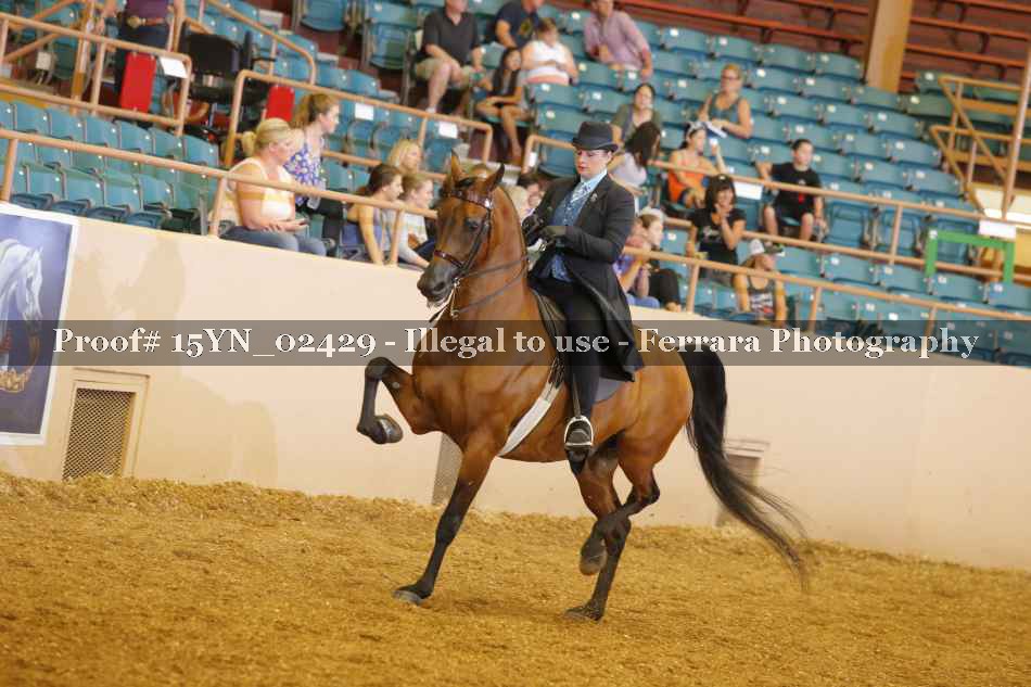 Proof 15YN_02429