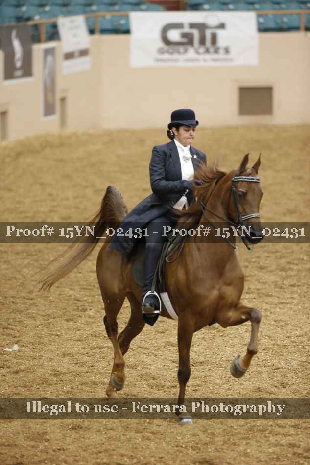 Proof 15YN_02431