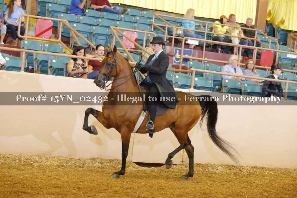 Proof 15YN_02432