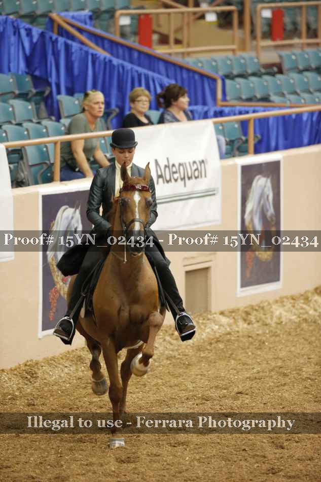 Proof 15YN_02434