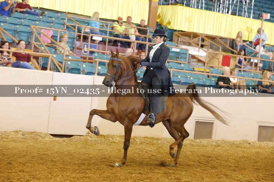 Proof 15YN_02435