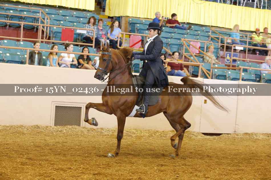 Proof 15YN_02436
