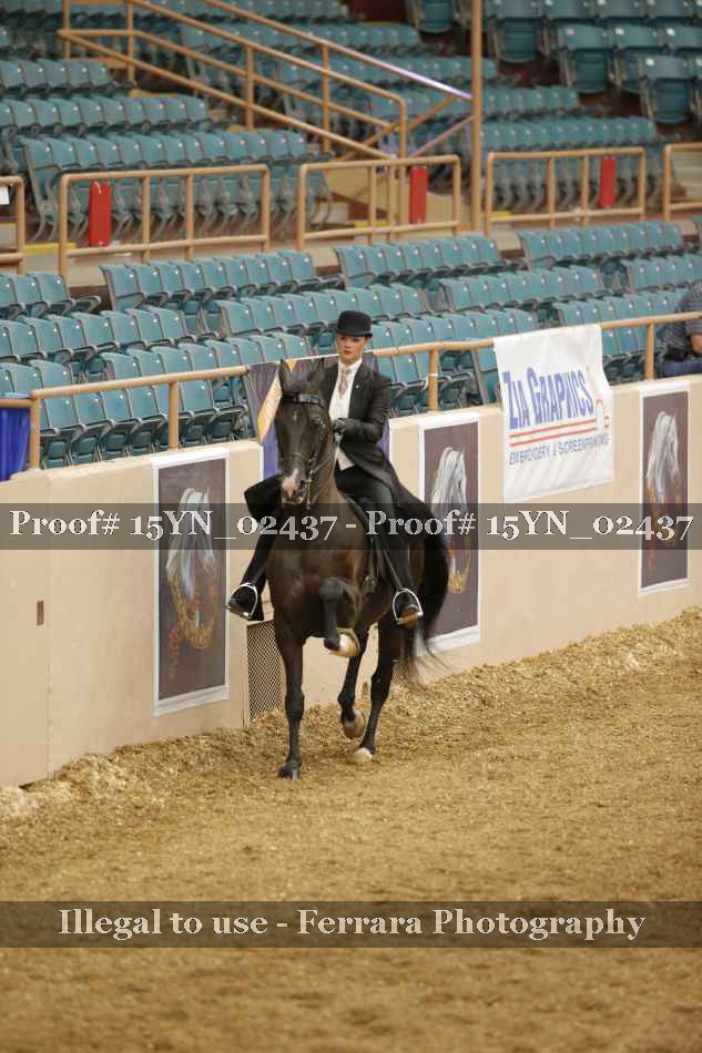 Proof 15YN_02437