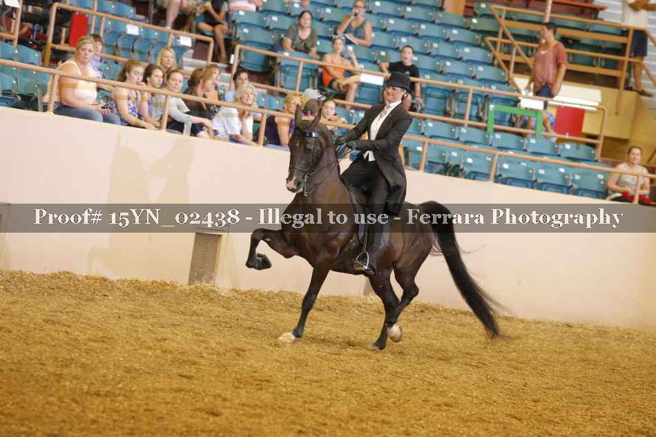 Proof 15YN_02438